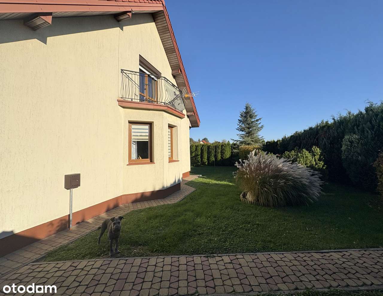 Dom w Sercu Natury - Maszewo blisko Płocka, 113,7 m2 !-4