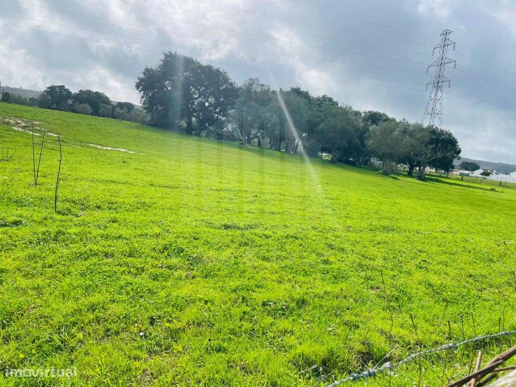 Terreno rústico com excelente potencial - Grande imagem: 3/7