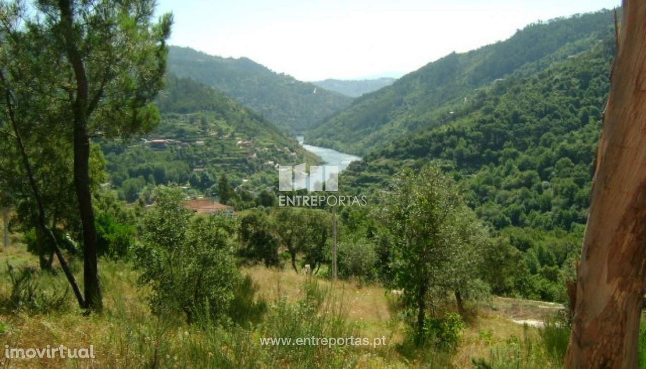 Venda Terreno, Espadanedo, Cinfães