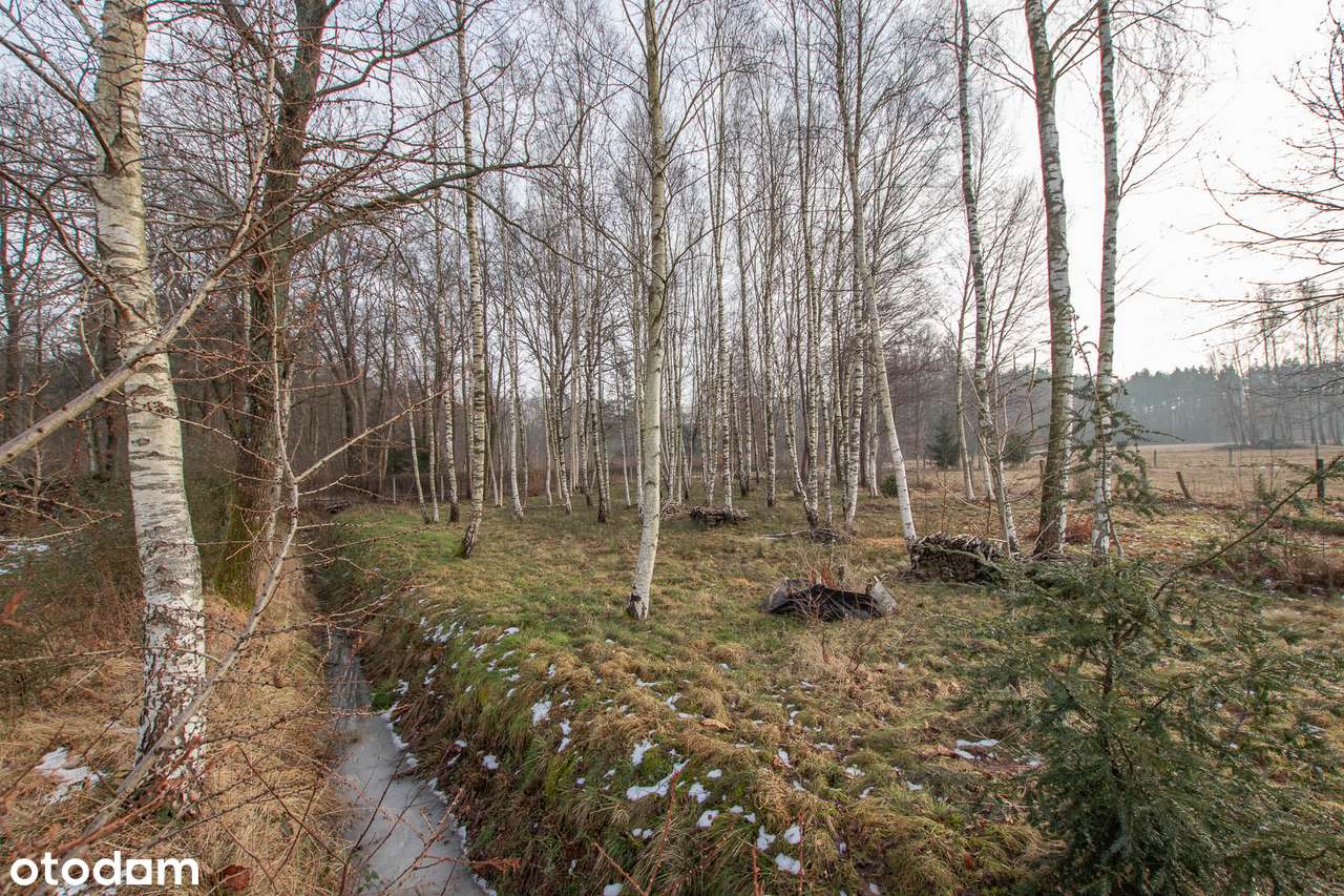 Dom, 173 m², Nosówko-5