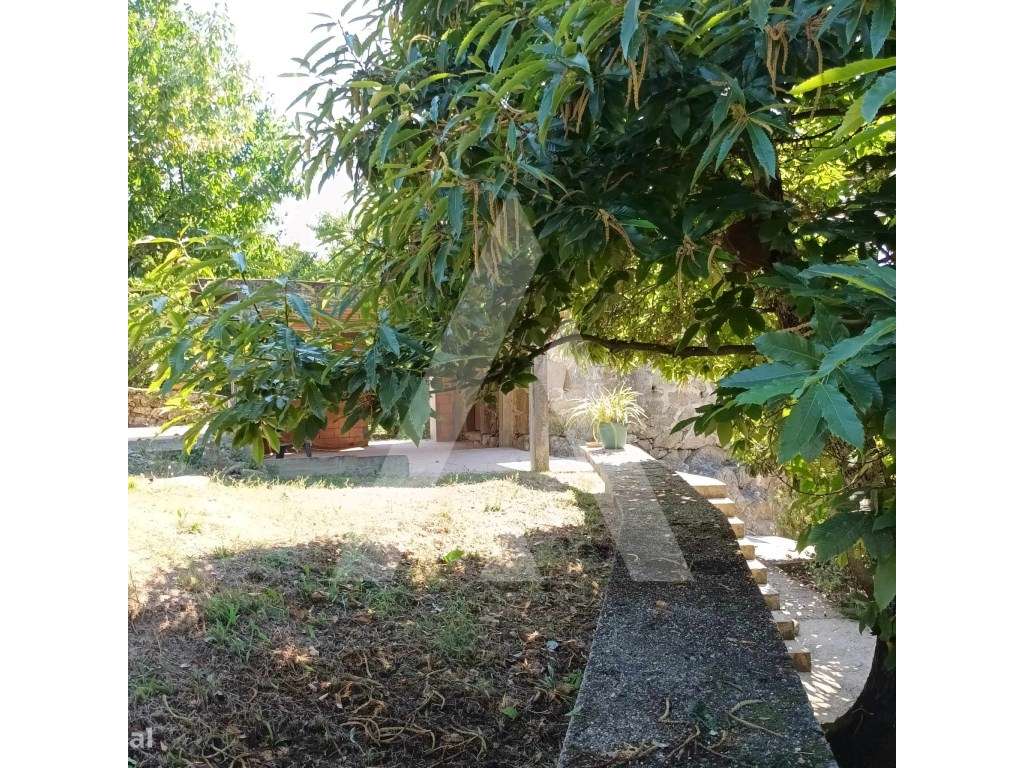 Moradia T3 em Quinta em Arouca - Ideal para turismo Rural - Grande imagem: 4/23