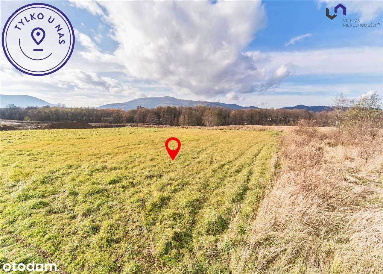 Działka budowlano-usługowa 1719 mkw-1