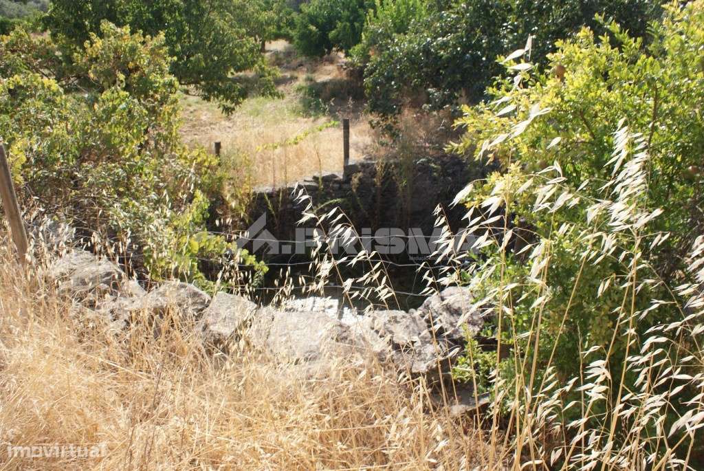 Terreno agrícola - Grande imagem: 5/12