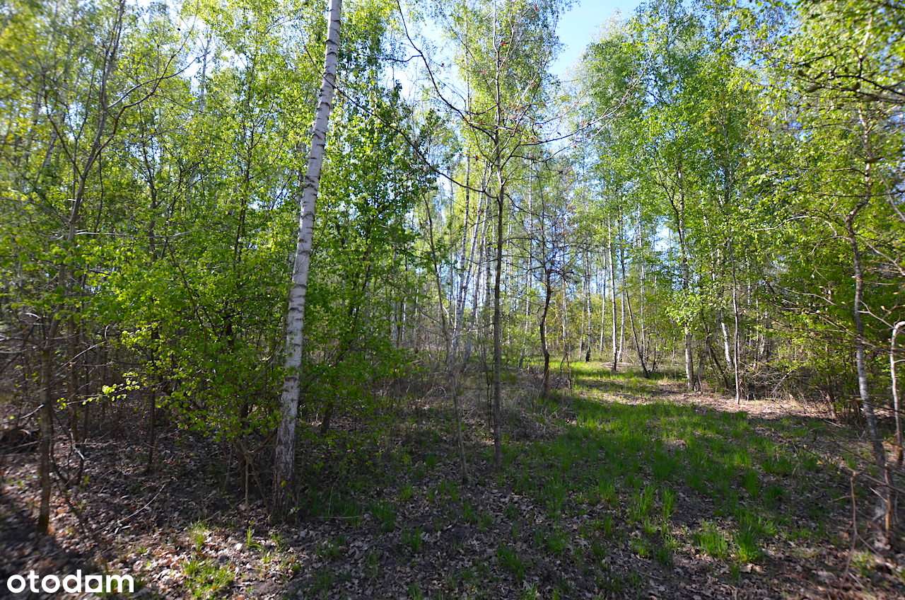 Działka budowlana 2000 m2 / Adamów-Parcel-1