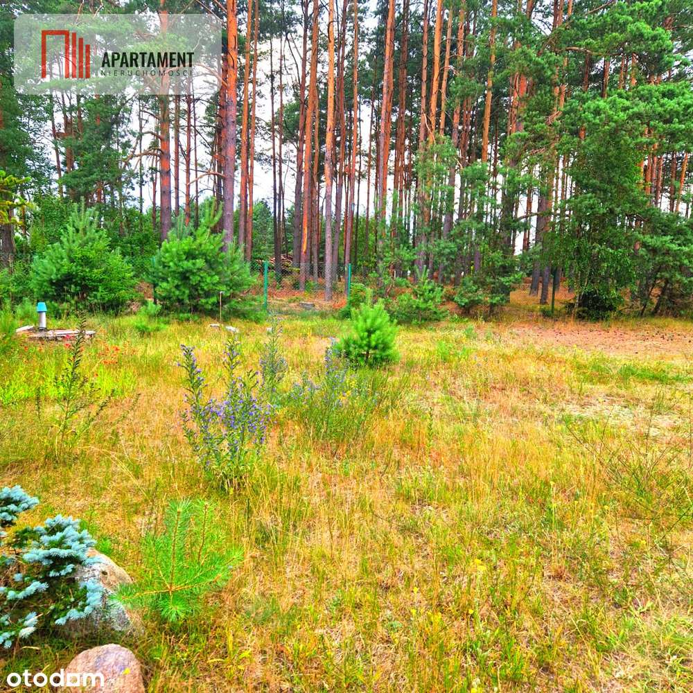 Tylko u nas! Domek, las, jezioro, spokój i cisza - Pełny obrazek: 4/5