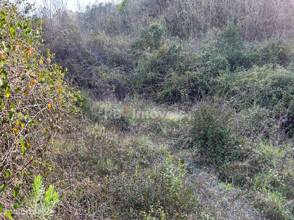 Terreno à venda em Tomar - Caniçal, Tomar - Grande imagem: 2/25