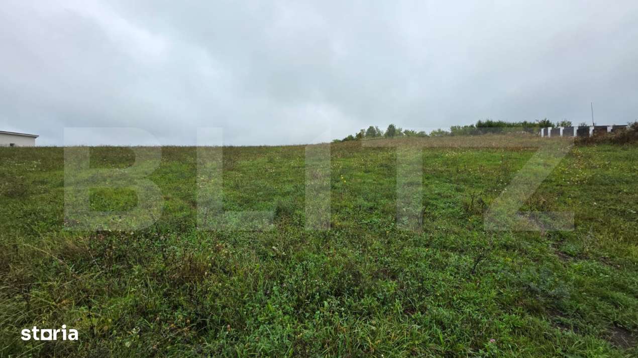 Teren Sigmir, parcelat, toate utilitatile, 880 mp - Imagine principală: 5/9