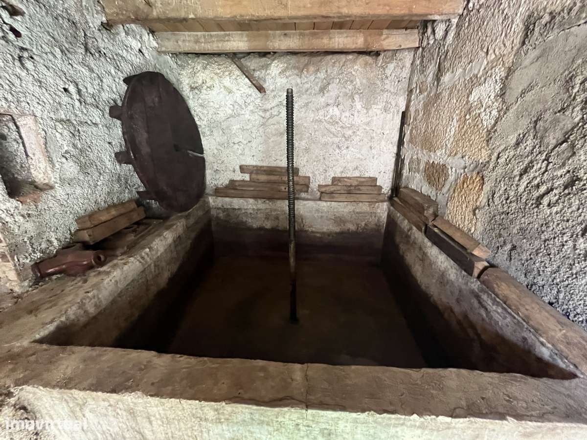 Vivenda no centro histórico de Rio de Moinhos - Grande imagem: 5/19