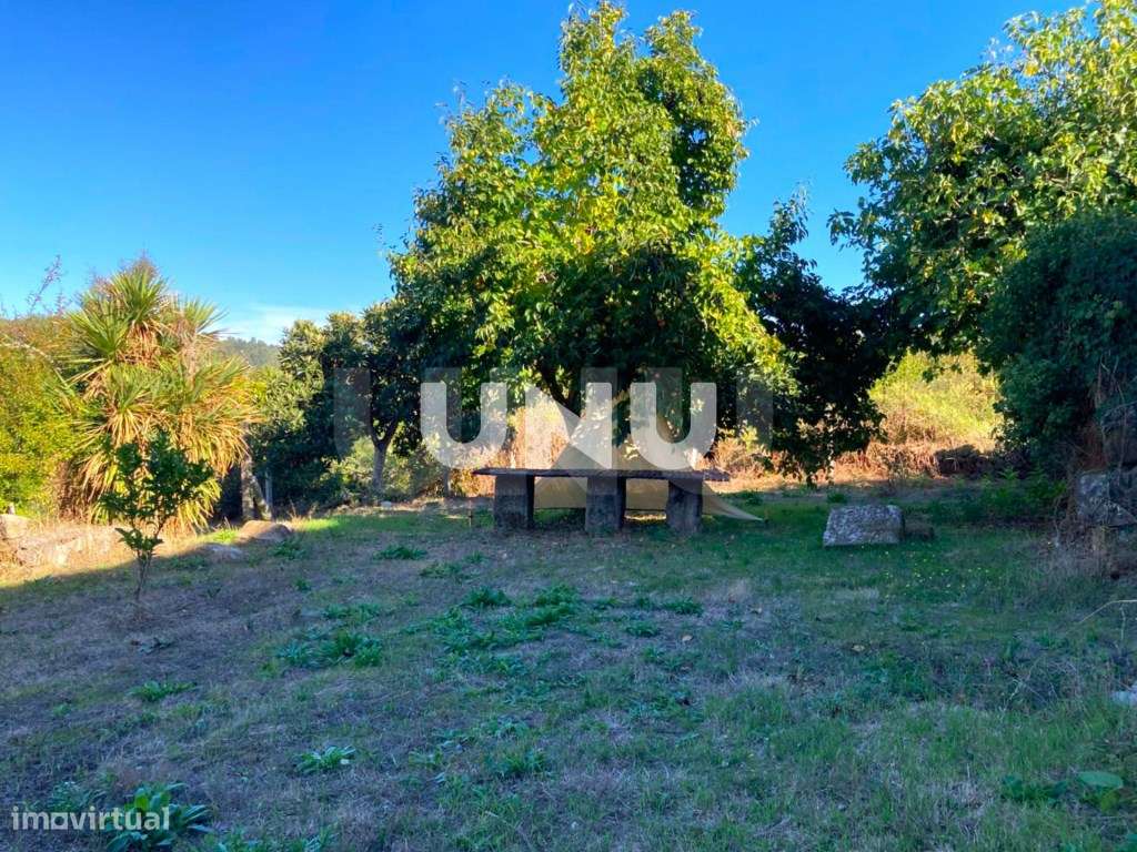 Quinta - Rodeada de Natureza-48