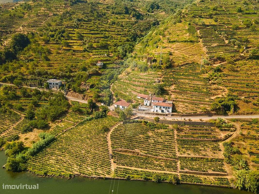 Quinta T8 para venda - Grande imagem: 4/35