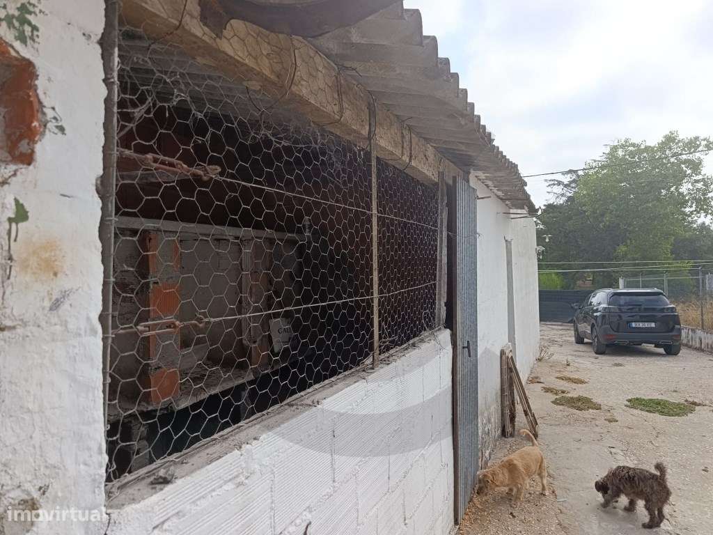Moradia T3-13
