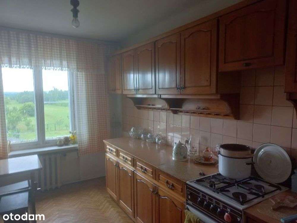 Dom 6 pokoi pow uż 130 m2, działka 1,2 ha Gosań , bez prowizji - Pełny obrazek: 3/12