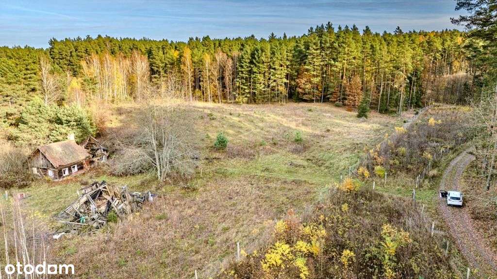 Klimatyczna duża działka blisko jeziora i lasu-8