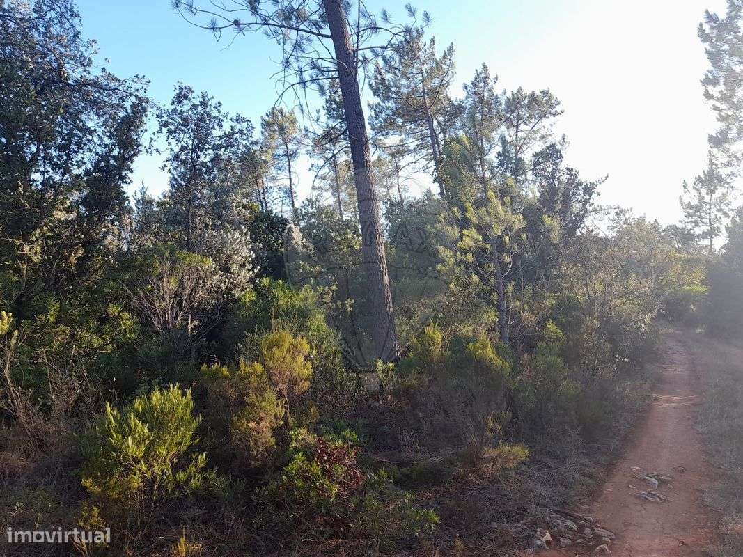 Terreno  para venda - Grande imagem: 4/7