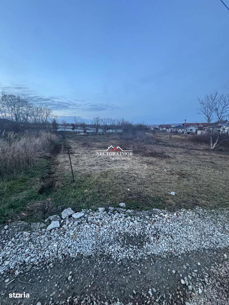 NECTORA IMOB-Teren Intravilan 647 mp, Dublu Front, Paleu, cu Utilitati - Imagine principală: 1/7