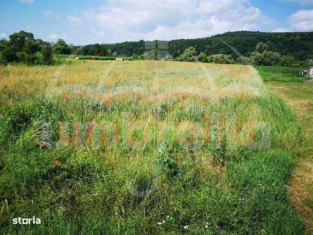 Teren de vanzare in  Gherla, Strada Dejului 4.060 mp - Imagine principală: 1/6