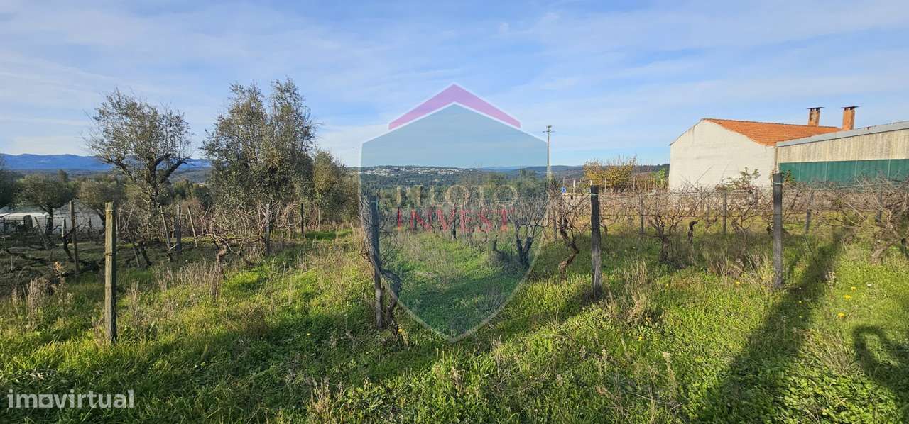 Terreno Para Construção  Venda em Silgueiros,Viseu - Grande imagem: 3/13