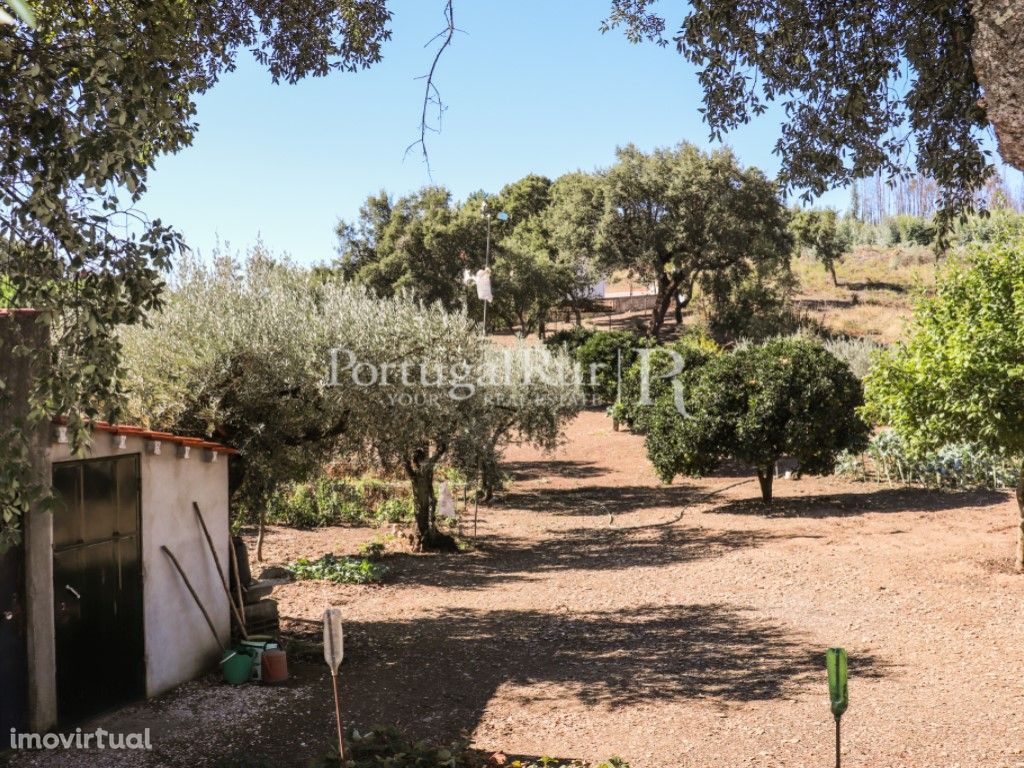 Terreno vedado em Proença-a-Nova