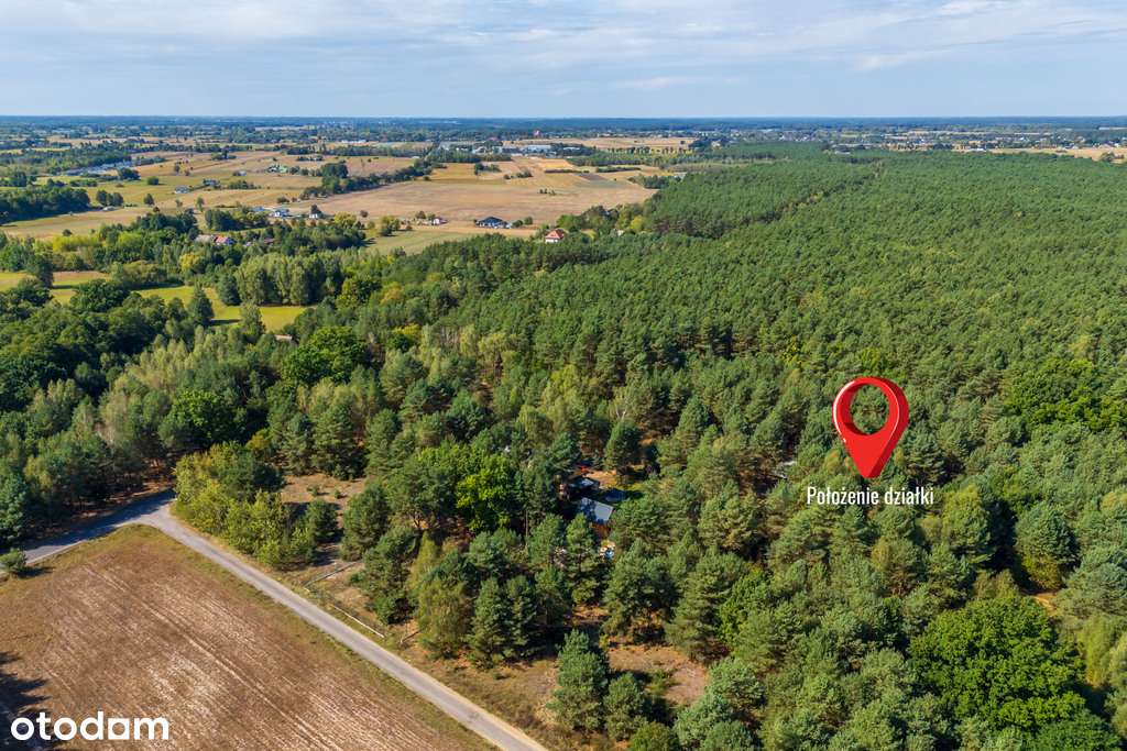 Działka rekreacyjna Sianno graniczy z Kampinosem - Pełny obrazek: 3/19