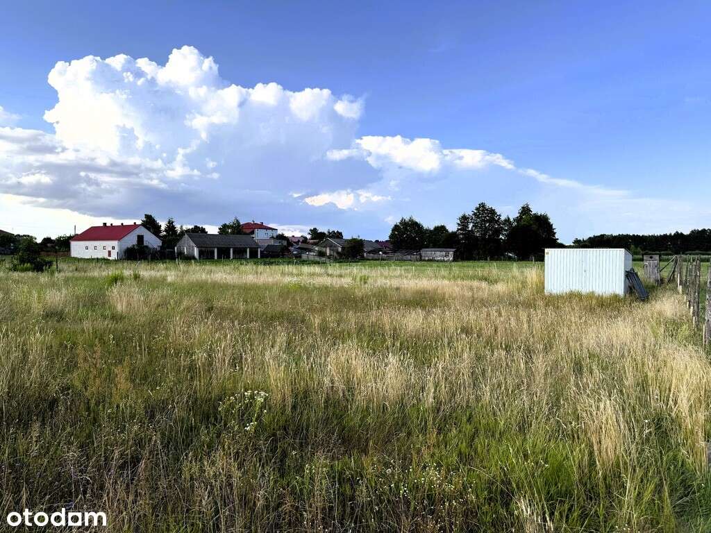 Atrakcyjna działka w Zarzeczu koło Zamościa - Pełny obrazek: 5/6