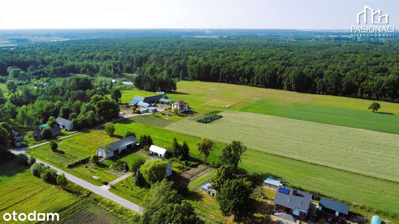 Na sprzedaż duży grunt budowlany - Pełny obrazek: 4/9