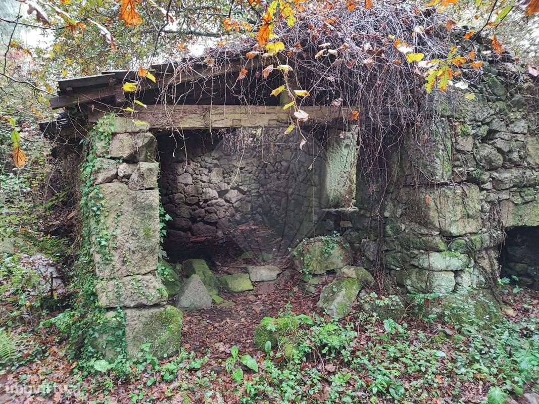 Quinta  para venda - Grande imagem: 5/13