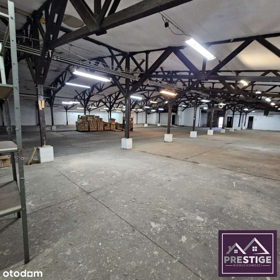 Do wynajęcia hala magazynowo-prdukcyjna blisko cen - Pełny obrazek: 2/8