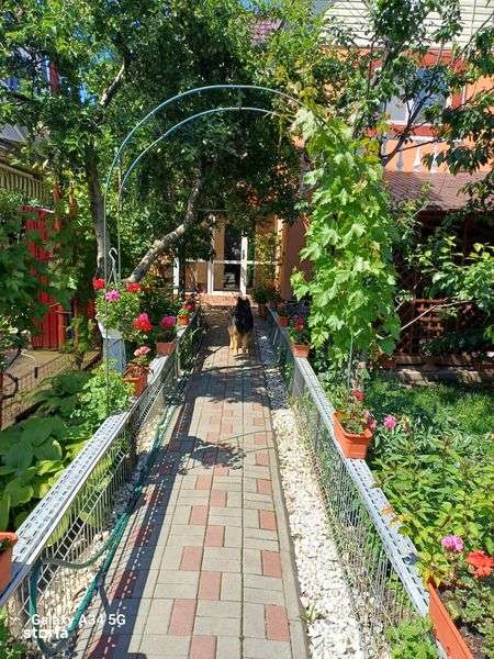 Casa,vila cu doua corpuri de casa,zona excelenta - Imagine principală: 5/8