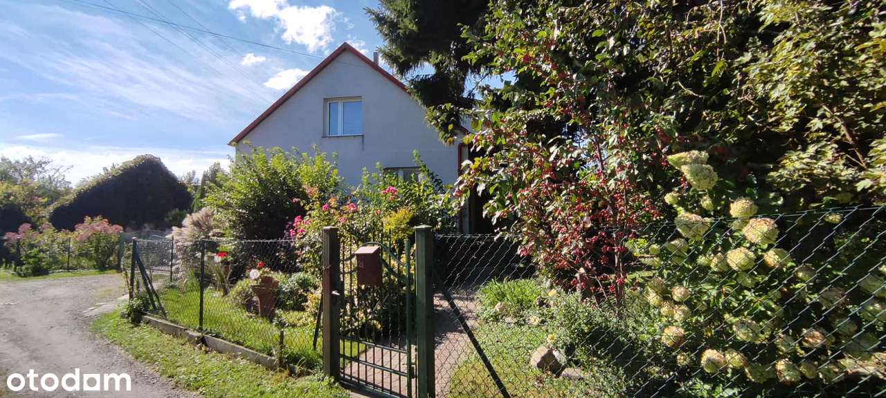 Zabudowana działka przy głównej drodze - Zalesie-1