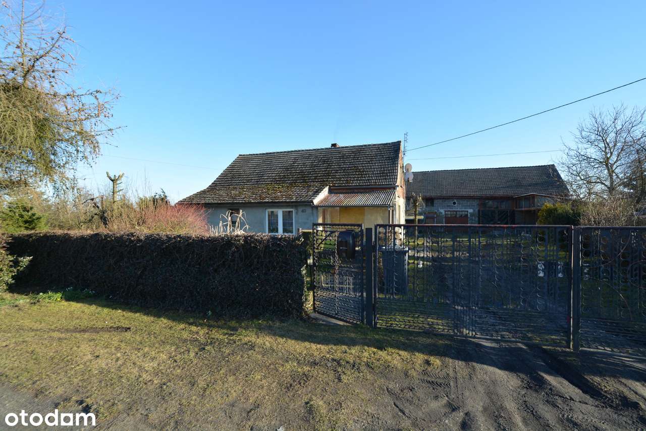 37 arów w Sarnowie - dom z cegły i duże zaplecze