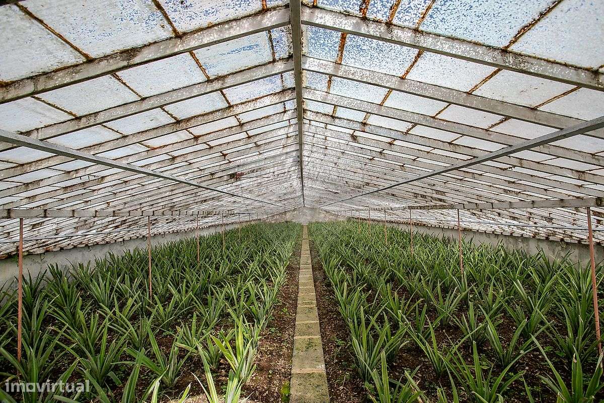 Moradia T6 para venda-28