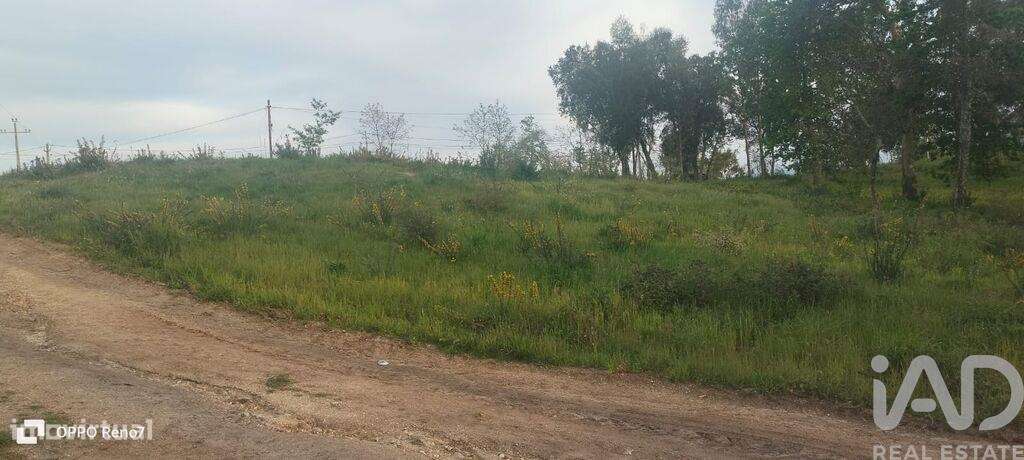 Terreno para construção em Santo isidoro e livração de 4200,00 m2 - Grande imagem: 2/30