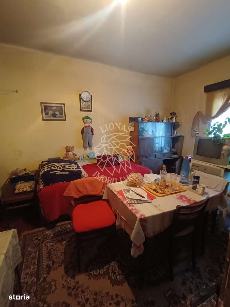 Apartament 5 camere cu teren 266 mp, nivel parter - zona Eroilor-5
