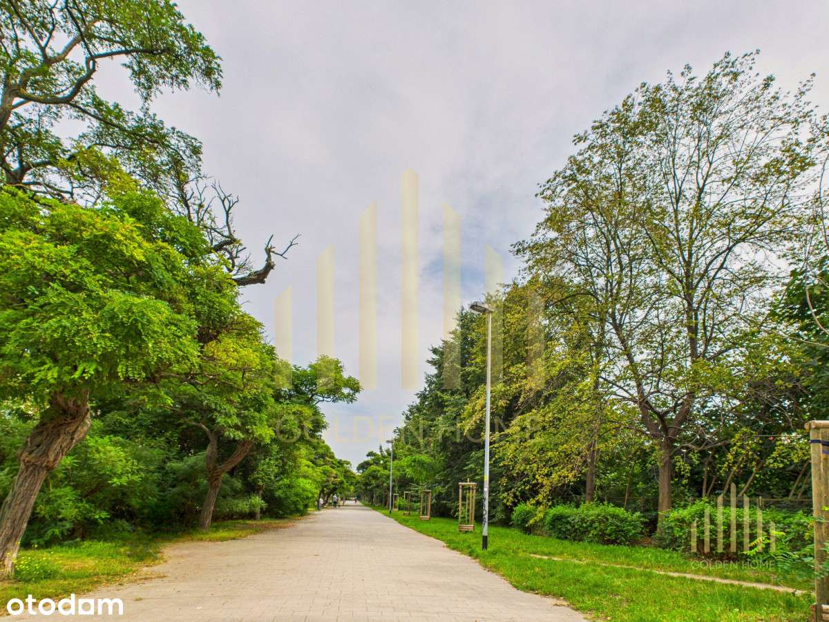 Zakup Bez Prowizji  przymorze Swpl Kawalerka Hit-2