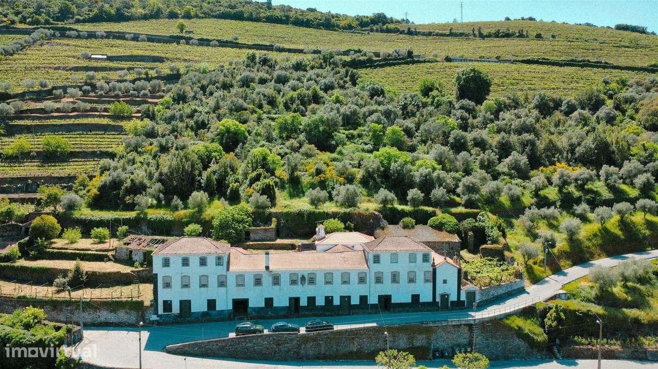 Quinta com Casa senhorial brasonada do Século XVIII na região do Douro - Grande imagem: 5/57