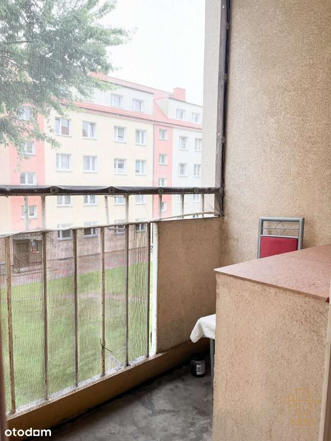 2/3 pok. II piętro do własnej aranżacji ul. Łokiet - Pełny obrazek: 4/9