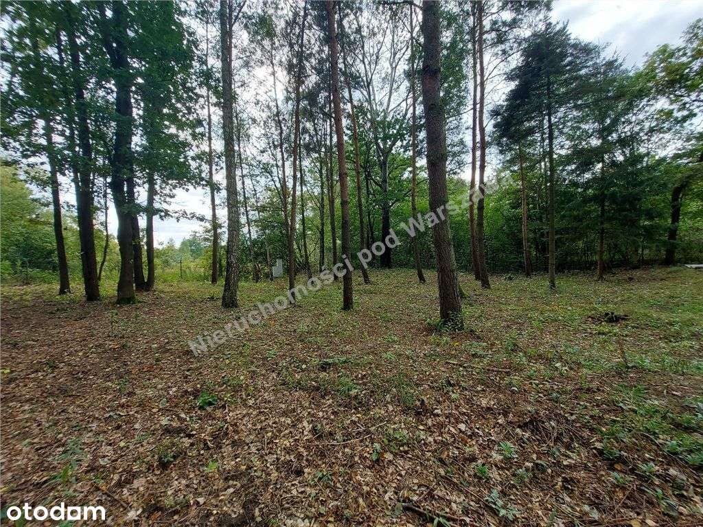 Cisza, Zieleń, Rzeka I Ona - Działka W Łosiu.-2