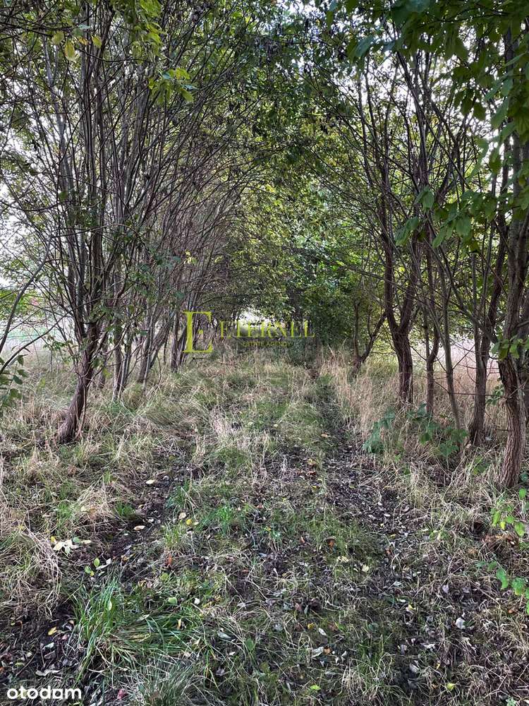 Duża działka inwestycyjna 5703m² – Kraków-Wadów-3