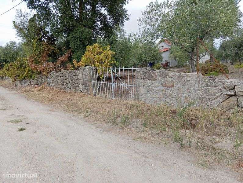 Imóvel, quinta muito sossegada - Grande imagem: 5/12