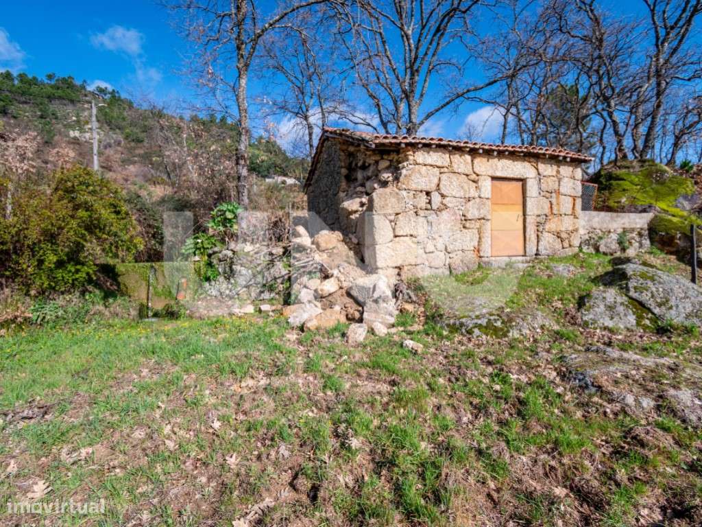 Quinta T2 com Habitação, Infraestruturas Agrícolas e Terreno com Vi...-5