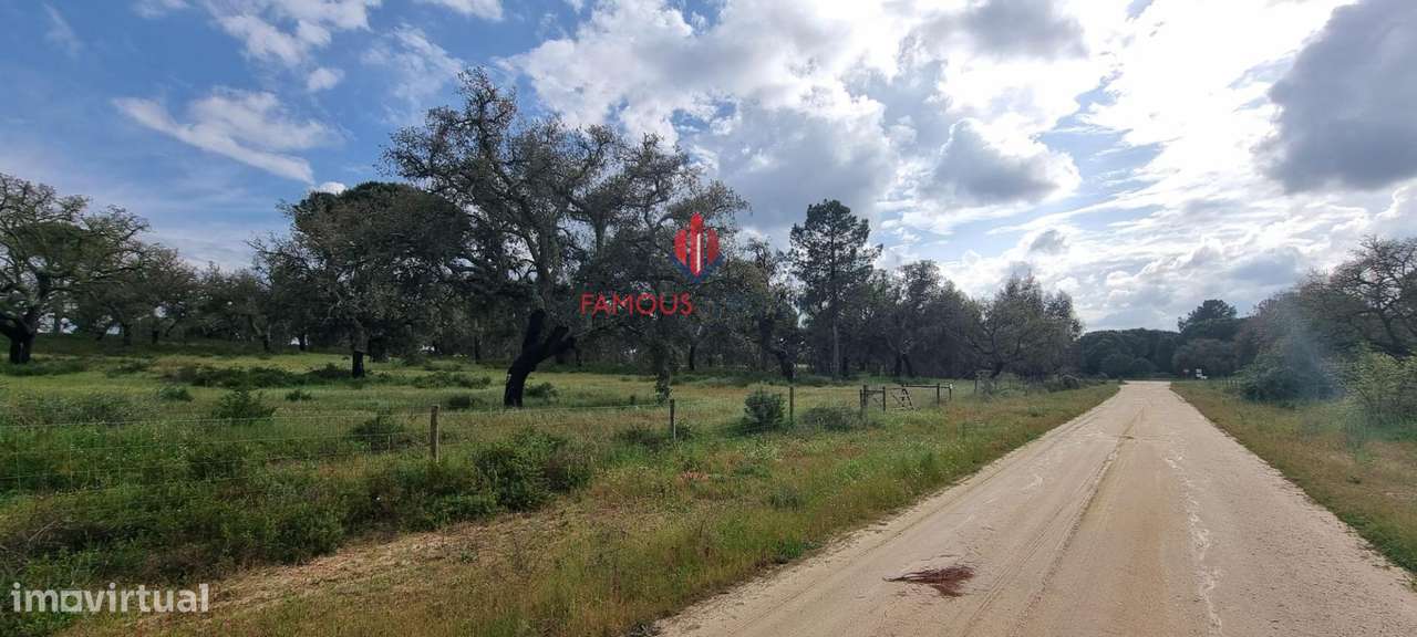 Terreno Exclusivo em Mata Duque – 23.000m² de Natureza e... - Grande imagem: 4/14