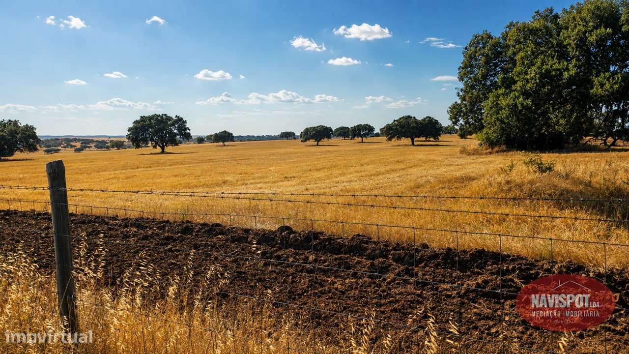 Herdade com 750 hectares no Alentejo-20