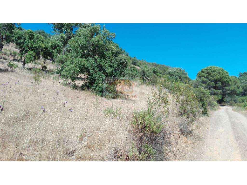 Terreno com 12,6ha com vista de mar - Melides - Grande imagem: 4/9