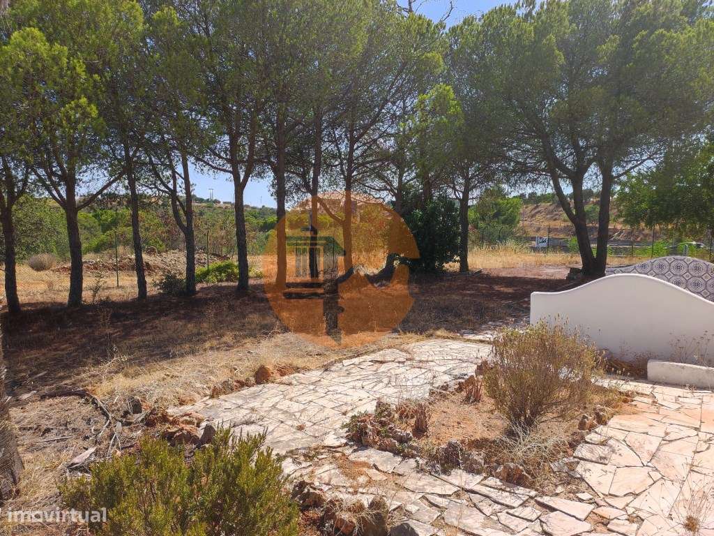 Magnifica Moradia com terreno de grande dimensão !!!-43