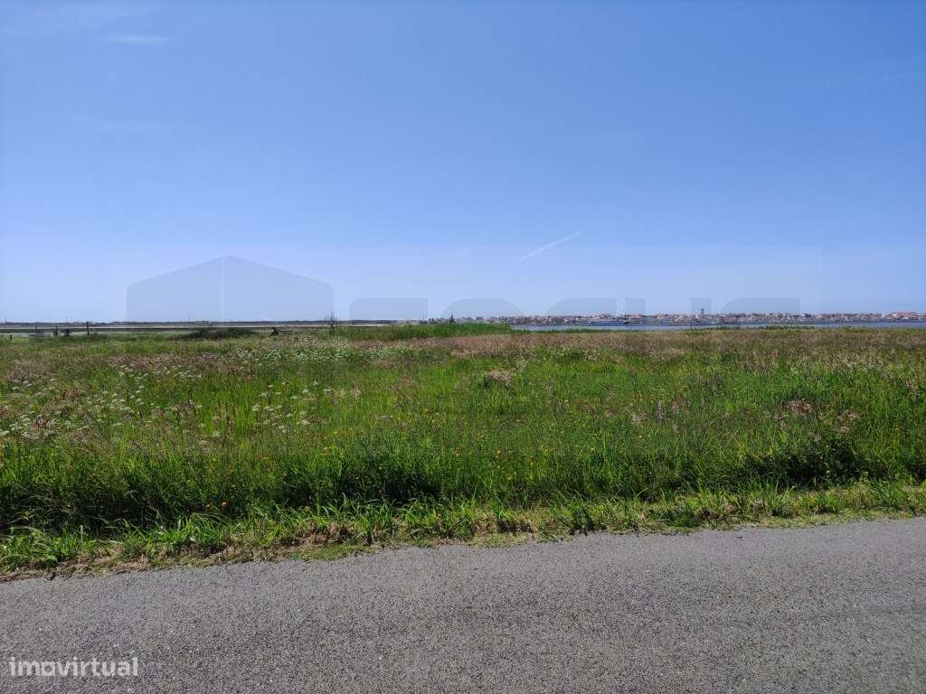 Terreno com vistas Ria - Gafanha da Encarnação - Grande imagem: 4/21