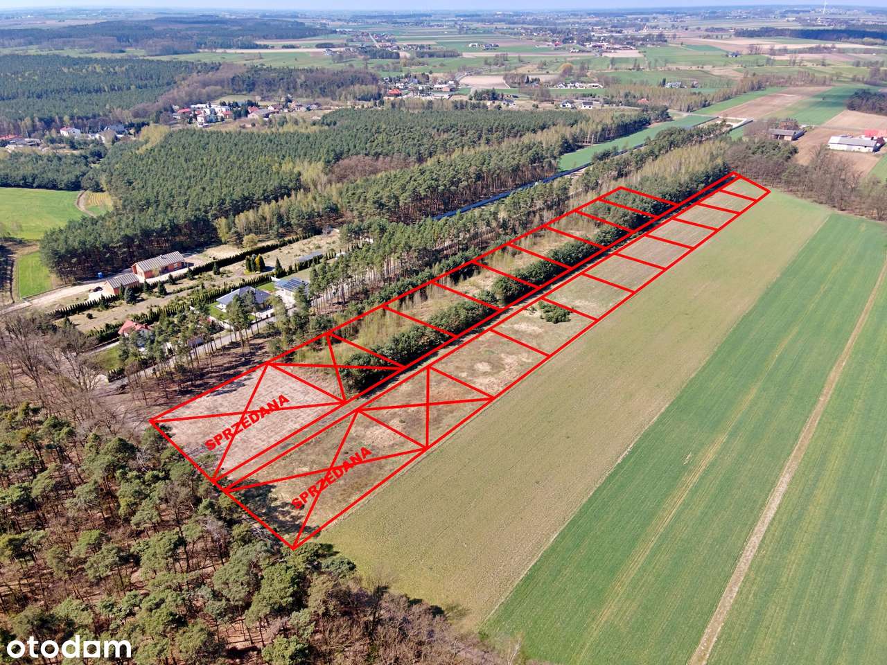 Działki budowlane pod lasem – Młynisko gm. Koźminek - Pełny obrazek: 1/17