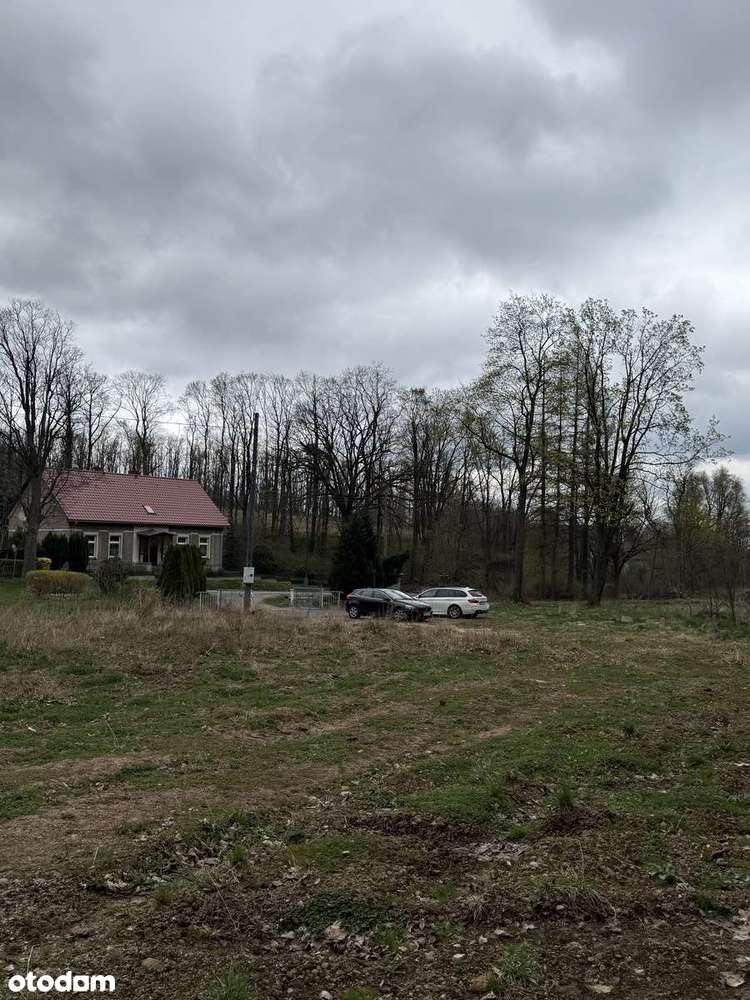 Działka z warunkami zabudowy - las, dostęp do drogi. Inwestycja.-5