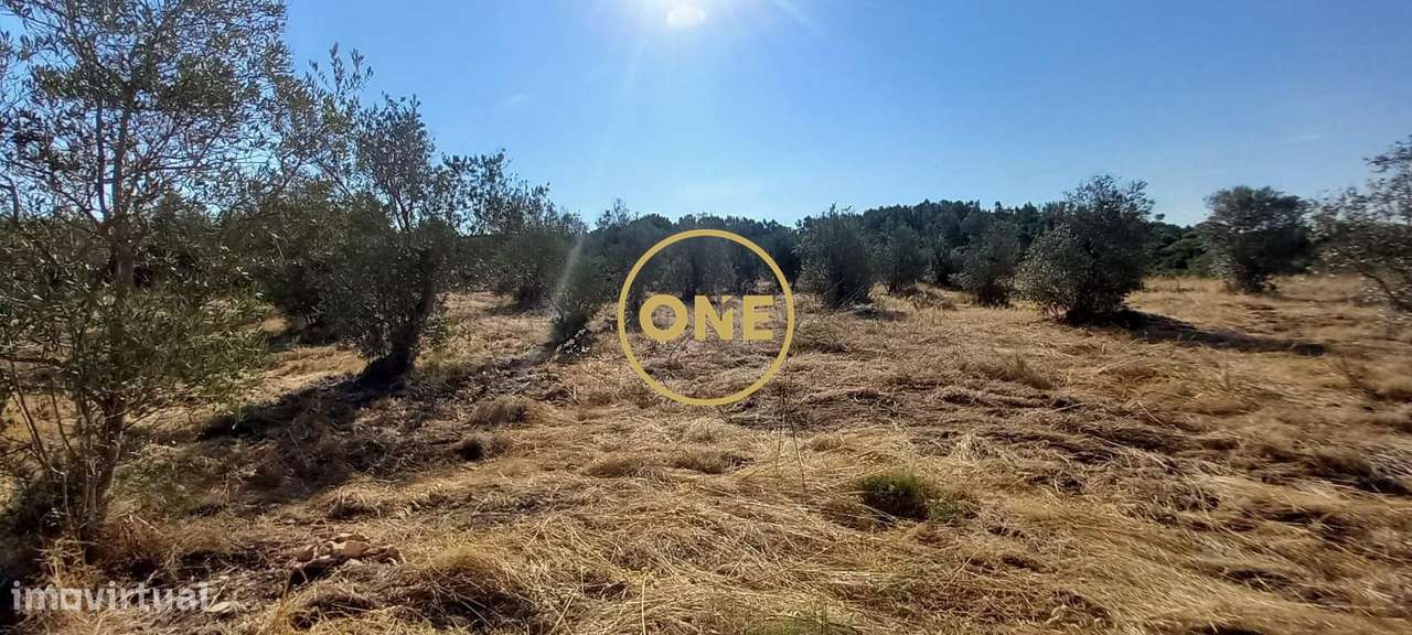 Terreno com 21.960 m2 e viabilidade construtiva | Vila Nova da Barquin-7