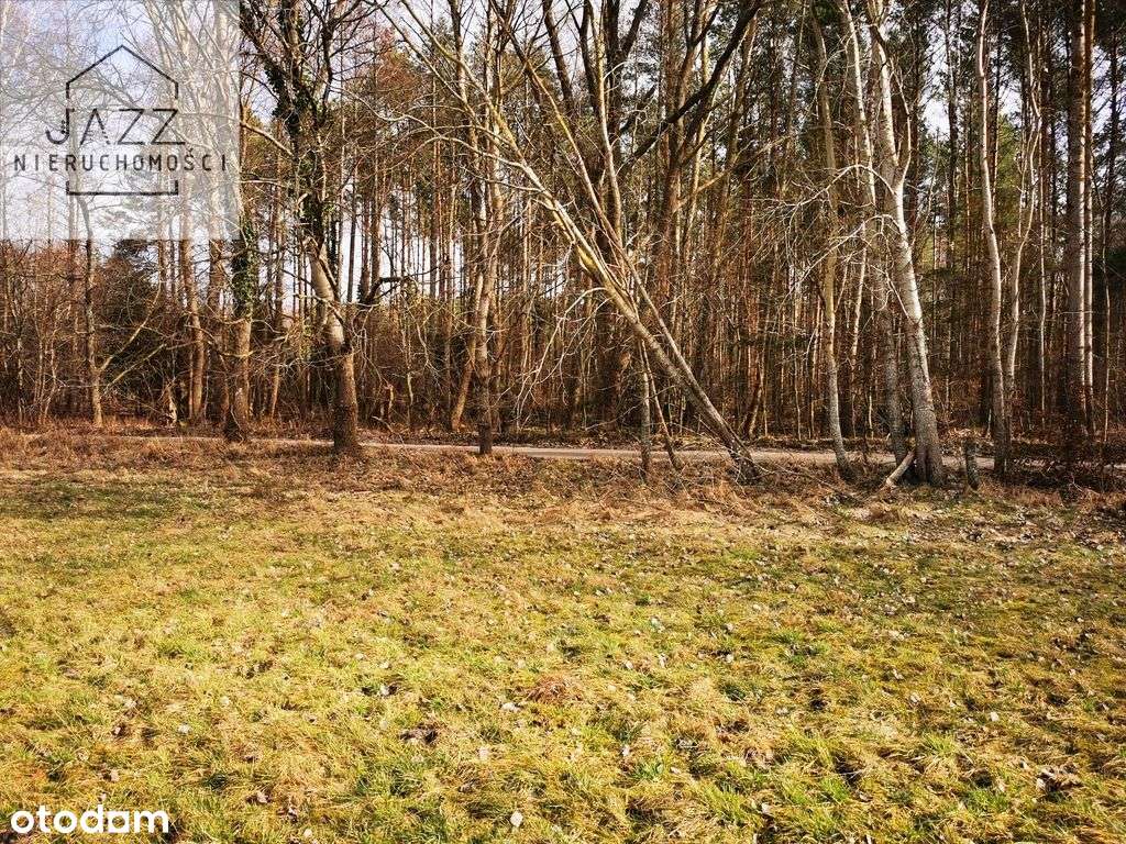 Działka usługowa w Sasinie 3500m2 - Pełny obrazek: 4/10