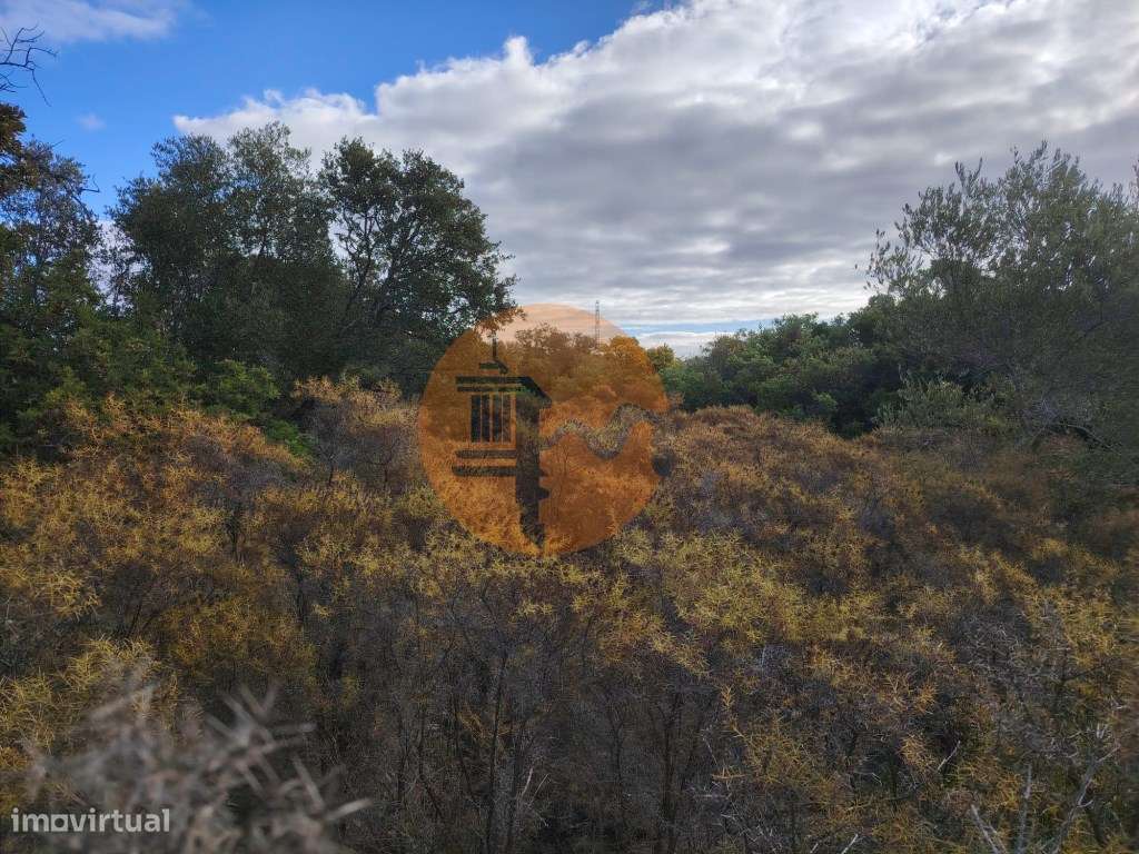 Terreno Rústico, Conceição de Faro - Grande imagem: 5/16